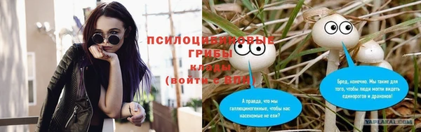 гидра Надым