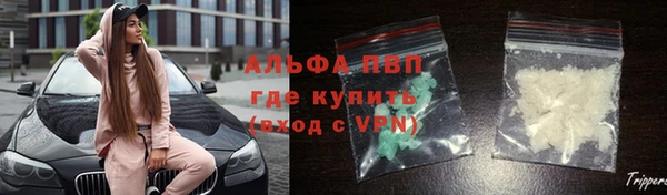 гидра Надым
