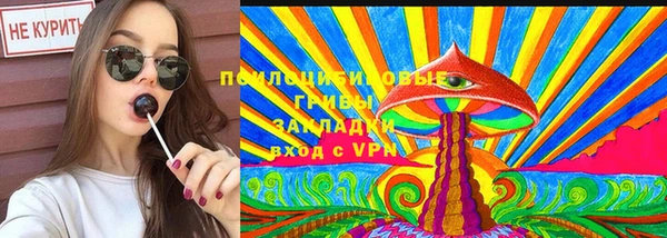 гидра Надым