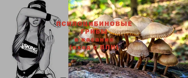 ПСИЛОЦИБИНОВЫЕ ГРИБЫ Навашино