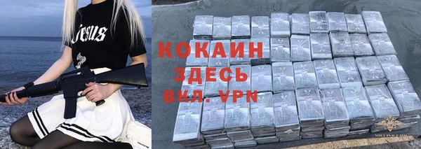 гидра Надым
