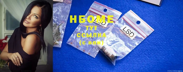 гидра Надым