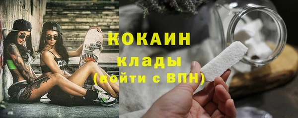 гидра Надым